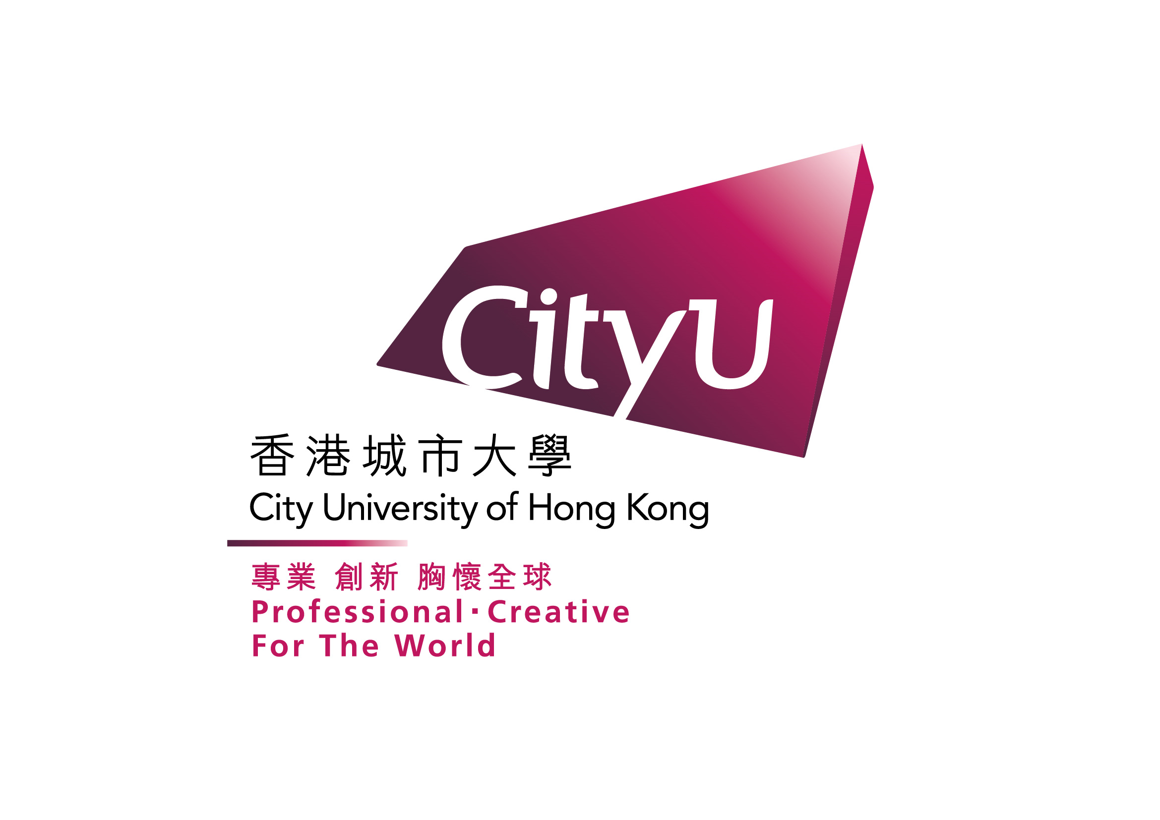  City University of Hong Kong 